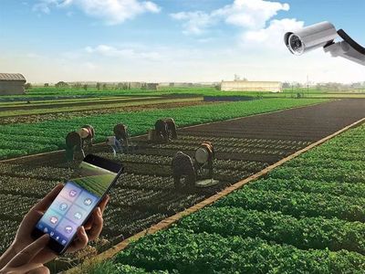 華安迪夢(mèng)溫泉康養(yǎng)小鎮(zhèn) 融合“吃住玩游樂(lè)購(gòu)”與溫泉技術(shù)研發(fā)的理想目的地